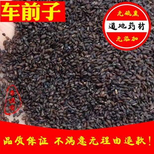 车前子特级500g包邮野生泡茶车钱子车前草籽车前草种子