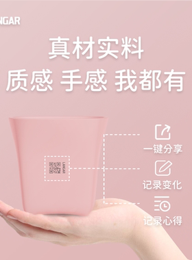 兰格尔多肉花盆创意加厚透气智能花盆塑料花盆叶插盆育苗盆移苗盆