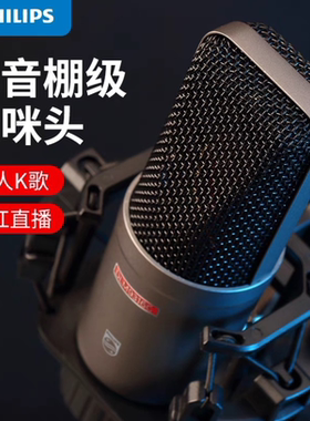 Philips/飞利浦 DLM9316C电容麦克风直播录音唱歌48V大震膜话筒