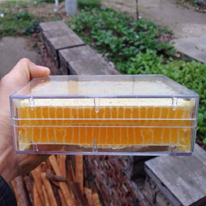蜂巢蜜嚼着吃的蜂蜜500g花土蜂蜜纯正天然农家自产新鲜嫩蜂巢