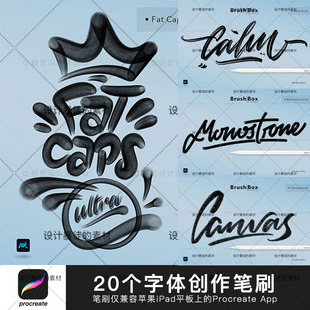 Procreate笔刷 手写墨水涂鸦平板ipad手绘插图字体创作 平面设计