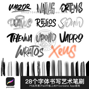 平板procreate APP画笔触 书法刻字体设计师艺术笔刷LOGO海报素材