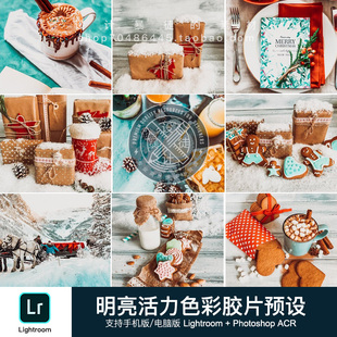 手机LR预设 圣诞节日氛围 温暖明亮活力色彩胶片照片后期修片调色