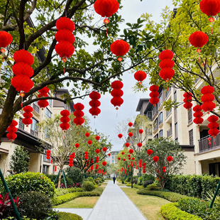 2026新款灯笼挂饰马年农村院子户外红色树上小福字蜂窝氛围装饰