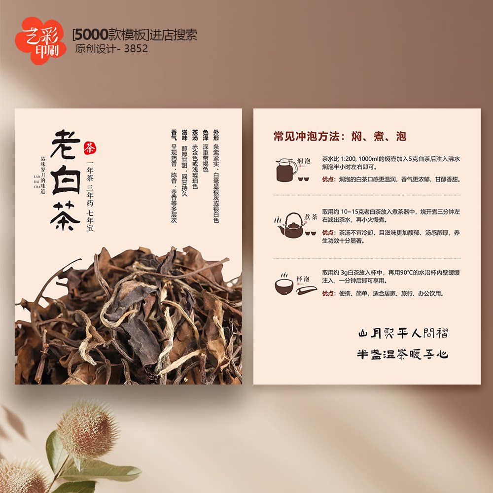 50款老白茶  茶卡 茶叶卡片定制茶叶介绍卡片冲泡简介卡片定制