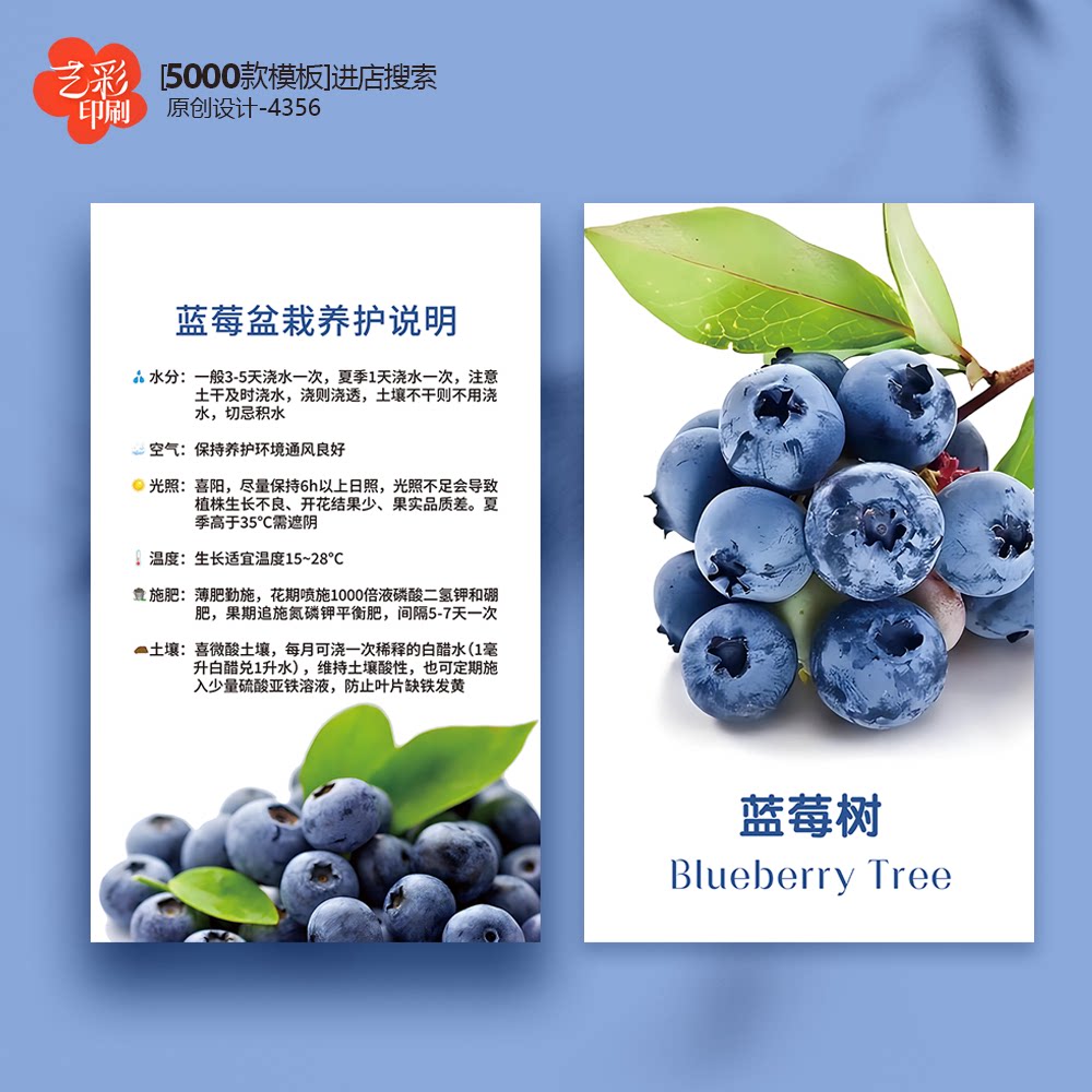 蓝莓树养护卡蓝莓树盆栽养护卡蓝莓树种植养殖卡片定制