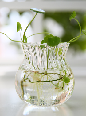 透明水养植物创意装饰玻璃花瓶