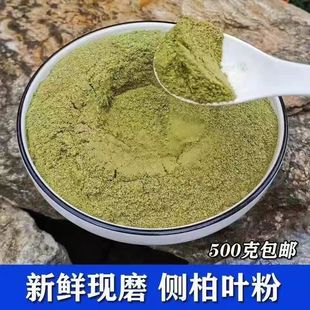 野生新鲜侧柏叶粉生发黑发乌发养发防脱煮水洗发洗头侧柏树叶子