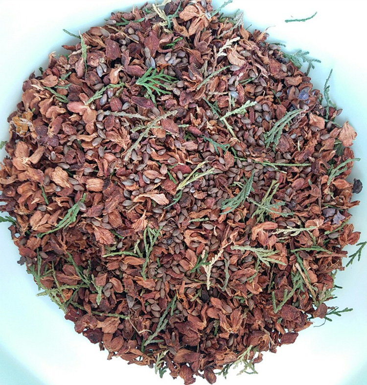 野生侧柏壳 侧柏树种子壳 枕头乌发失眠少白头发安神按摩颈椎枕