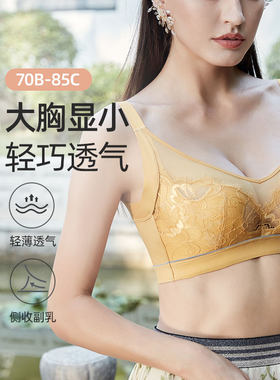 依曼丽无钢圈夏季薄款文胸收副乳大胸显小法式蕾丝内衣女胸罩