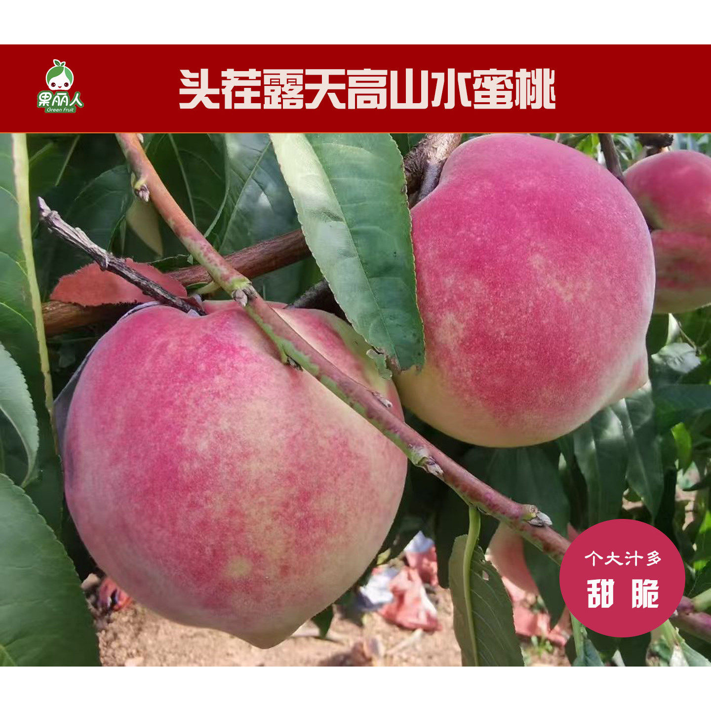脆甜多汁桃味十足正宗高山水蜜桃