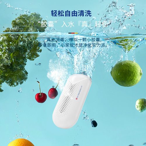 蔬果清洗器新款果蔬洗菜器蔬菜生鲜肉机净化家用消毒去农药残留物