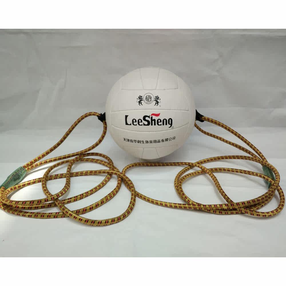 Ballon de volley-ball - Ref 2011654 Image 1