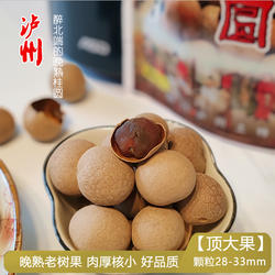 【精选特级】桂圆干3斤老树超大果新货龙眼干28A四川泸州张坝特产