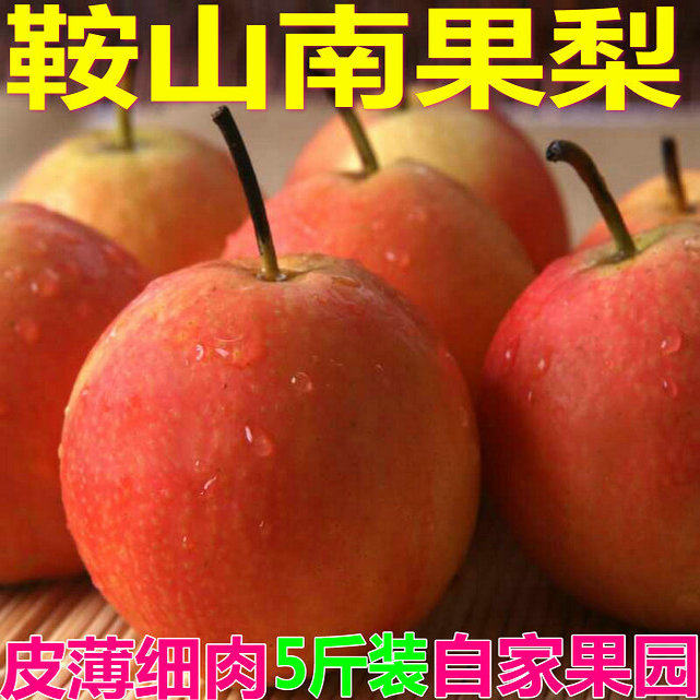 精品鞍山海城东北斤装顺丰南果梨