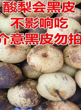 酸梨安梨东北特产正宗辽宁绥中酸梨河北大酸梨开胃酸甜5斤装包邮