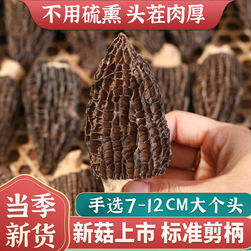 羊肚菌干货云南菌菇汤料煲汤食材