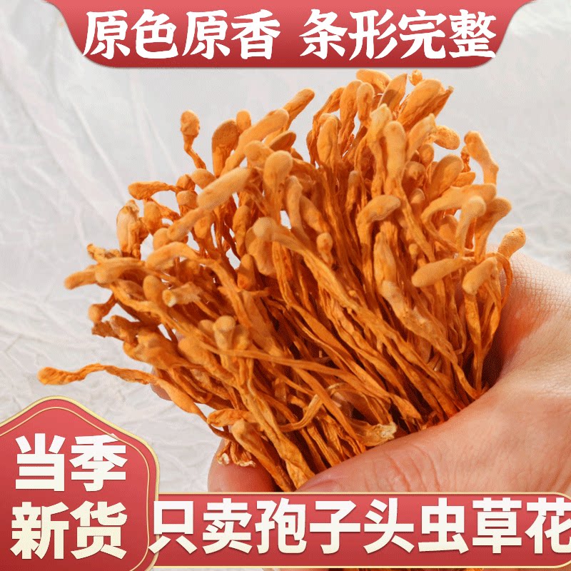 新货虫草花干货无硫熏煲汤金虫草北虫草蛹虫菌类滋补送礼菌菇