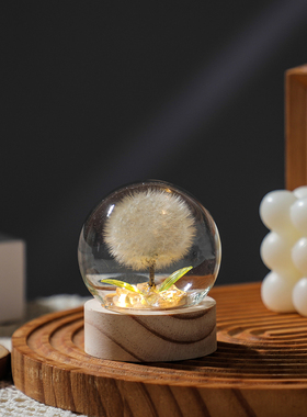 永生花蒲公英小夜灯玻璃罩礼物