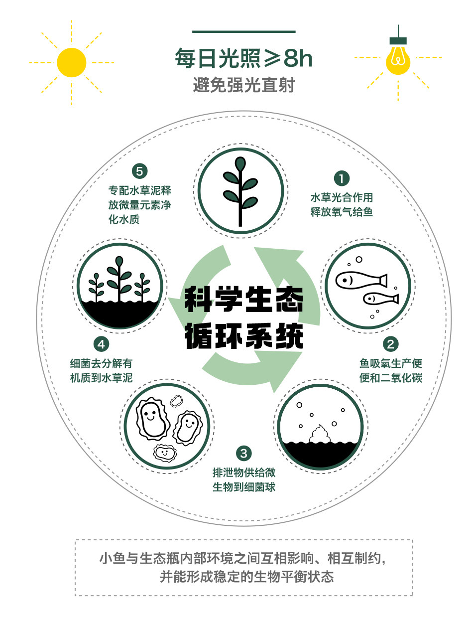 无处藏白万能链接运费补差专拍图片