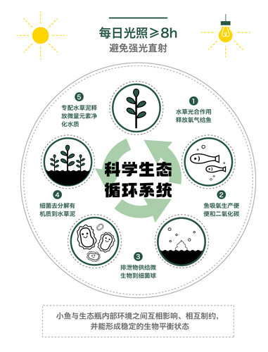 无处藏白万能链接运费补差专拍