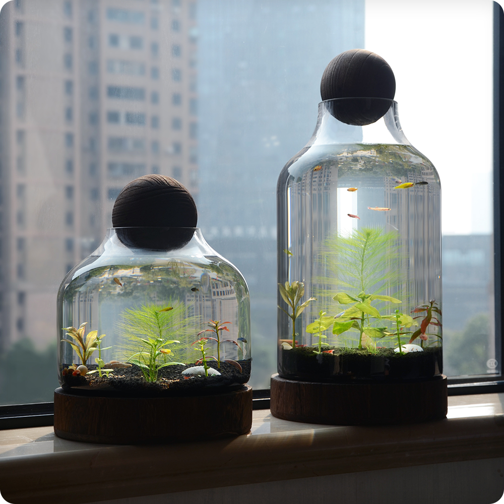 生态瓶大桌面小鱼缸免换水