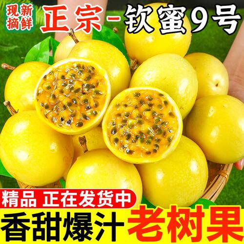 正宗海南钦蜜9号黄金百香果广西新鲜水果当季黄色百鲜果整箱包邮