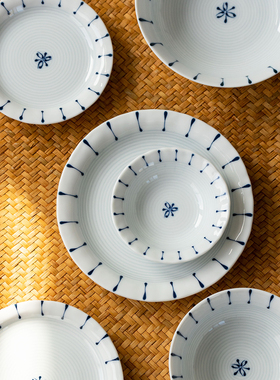 日本进口美浓烧竖十草陶瓷碗盘碟餐具日式米饭碗菜盘料碟小钵汤碗