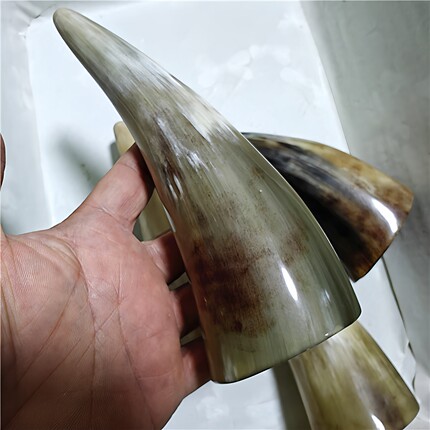 13-19厘米天然黄牛角拔火罐真空拔罐器吸湿牛角刮痧筒家庭商用拔