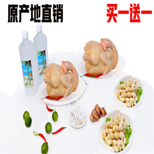 海南网红文昌鸡椰子火锅农家散养