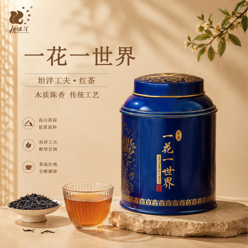 禅茶红茶新坦洋50g罐装煮茶