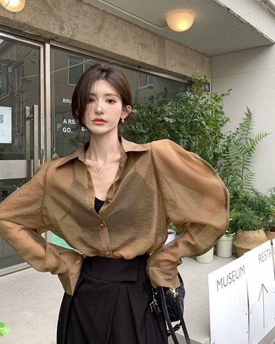 Real shooting of summer Hong Kong style fashionable high-grade feeling bubble sleeve transparent yarn long sleeve shirt loose Chiffon perspective sunscreen top