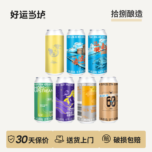 【拾捌酿造】跳东湖12周年酒花18速递凌波门逆流复古未来500ml
