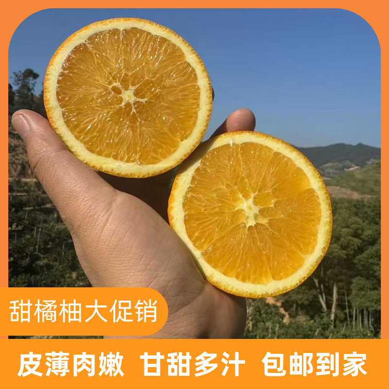 正宗浙江BA庆元甜橘柚新鲜水果甜心橙子高山桔子10斤礼盒现摘当季,水产肉类/新鲜蔬果/熟食,橙,淘宝优惠券,粉丝福利购,淘宝优惠卷