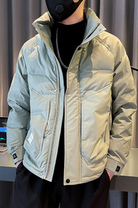 2024冬季新款潮流立领保暖皮羽绒服白鸭绒外套-6 YR706-P168控228图片