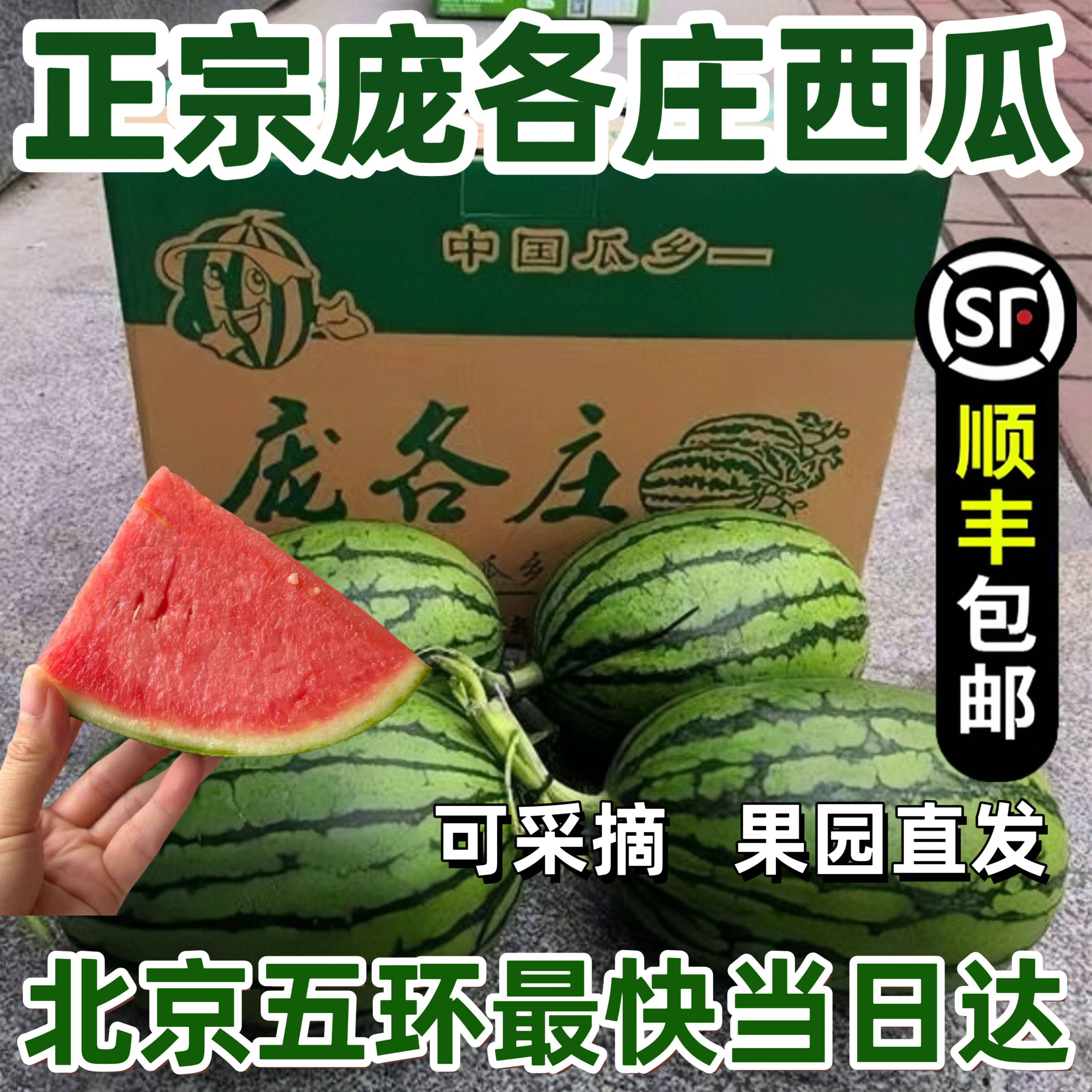 大兴庞各庄 袖珍品种小西瓜 迷你新鲜水果整箱礼盒彩箱 应季水果