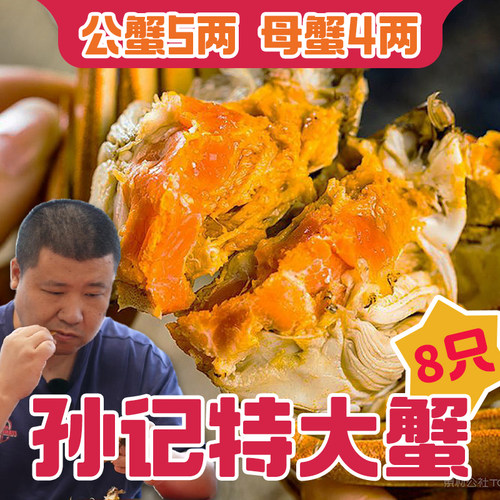 【星际老男孩】孙记鲜活快活蟹特大蟹公蟹5两母蟹4两8只装