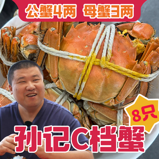 【星际老男孩】孙记鲜活快活蟹 C档公蟹4两母蟹3两8只装