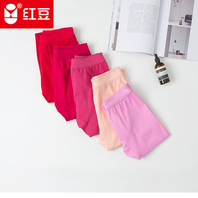 红豆纯棉女士秋裤棉毛裤