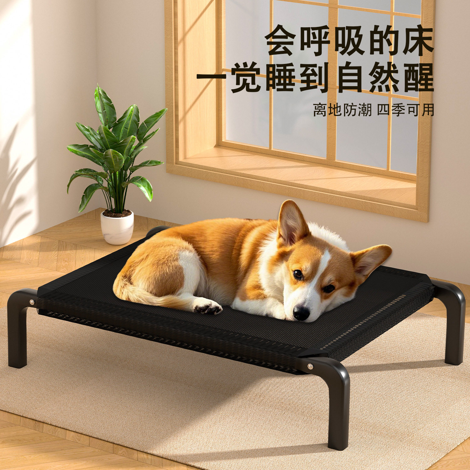 狗狗行军床四季通用离地防潮猫窝狗窝狗床夏日睡小中型犬猫狗垫子图片