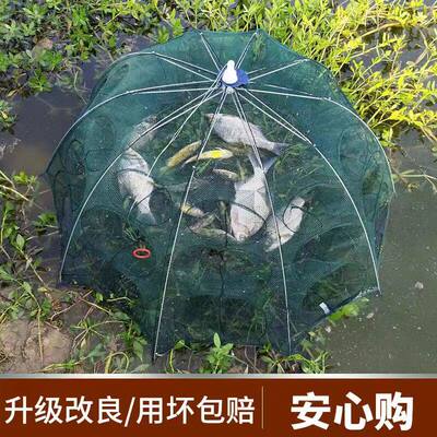 渔网沉水网鱼笼只进不出捞鱼网虾笼泥鳅黄鳝龙虾鱼网折叠河虾笼子