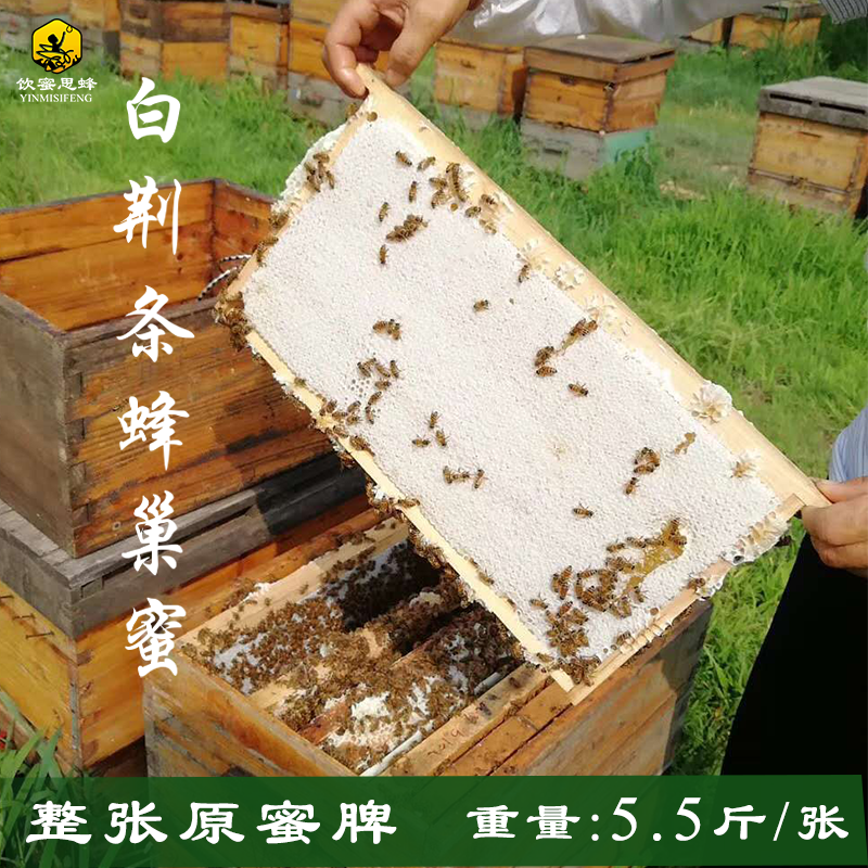 整张大块老巢脾礼盒喂蜜蜂