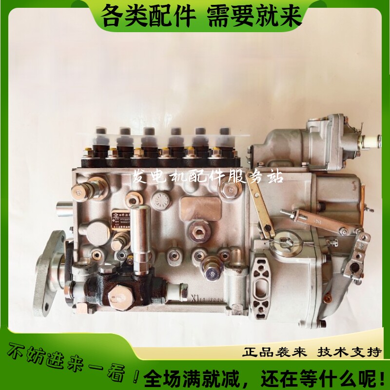 玉柴喷油泵yc6m/m3015-1111100-c27龙口龙泵喷油泵bp5369机械