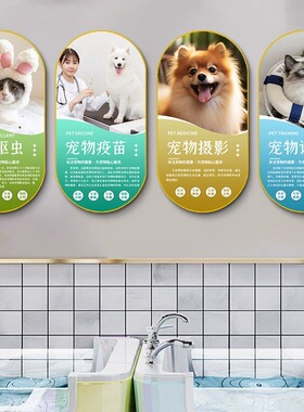 宠物店装饰动物美容猫咪护理