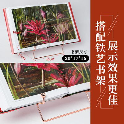 复古铁艺书架踏云跃金玫瑰金色