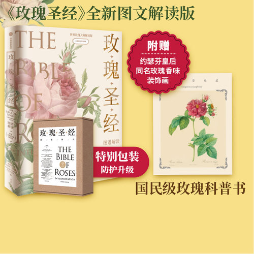 玫瑰圣经图谱解读张辰亮