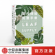 社图书 书籍 劳伦卡米雷利 塑造空间美学 园艺工具书 科学养护绿植 植物生活新提案 著 正版 室内绿植完整手册 中信出版 我