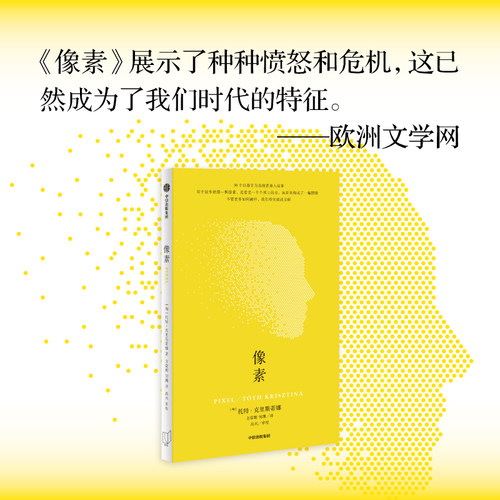 像素托特·克里斯蒂娜