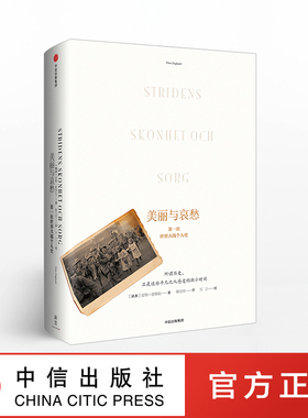 【新思文库】美丽与哀愁：第一次世界大战个人史 皮特恩格伦 著  战争文学 非虚构文学 战争史书 中信出版社图书