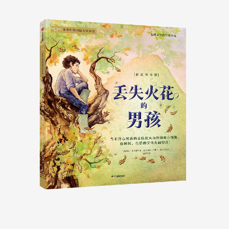 丢失火花的男孩 玛吉·奥法瑞尔 著 当不开心男孩遇见住在火山的捣蛋小怪物 生活的变化充满惊喜 中信出版图书